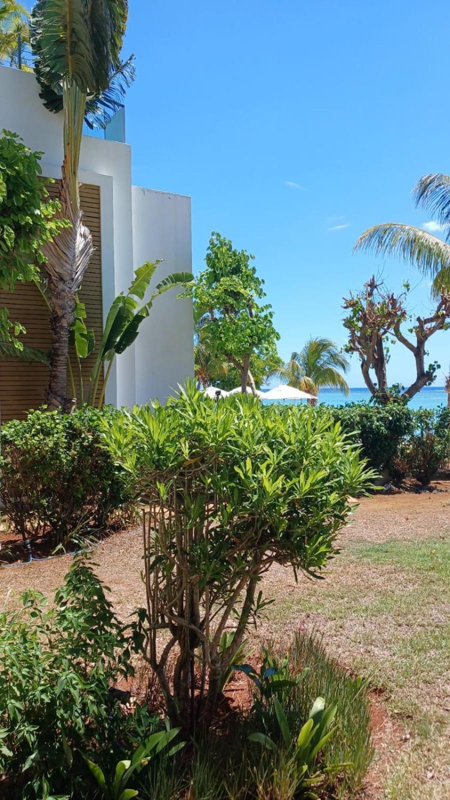 Cap Ouest Luxury Beachfront Flic-en-Flacq 外观 照片